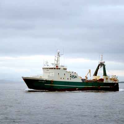 Reykjav&iacute;k Adventskalender: Fish & Chips